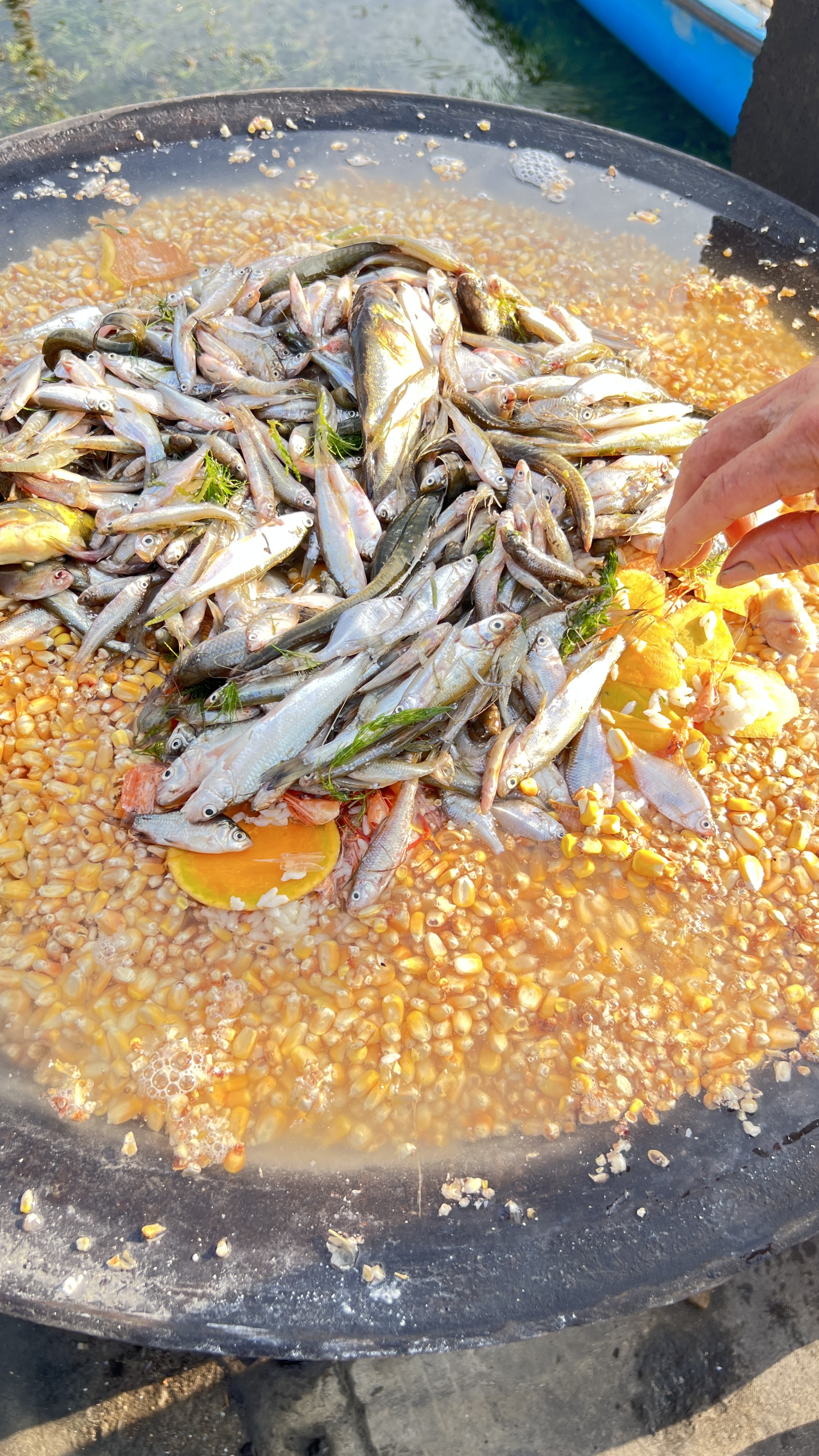 深秋品蟹为什么要重视大闸蟹姜醋蘸料？