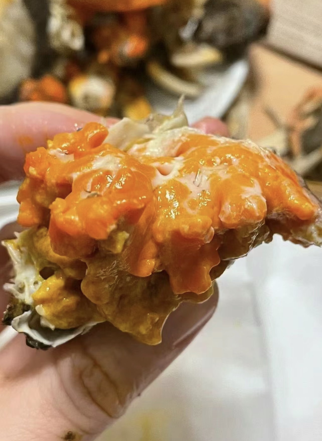 家庭聚餐怎么做好大闸蟹暂养保存?