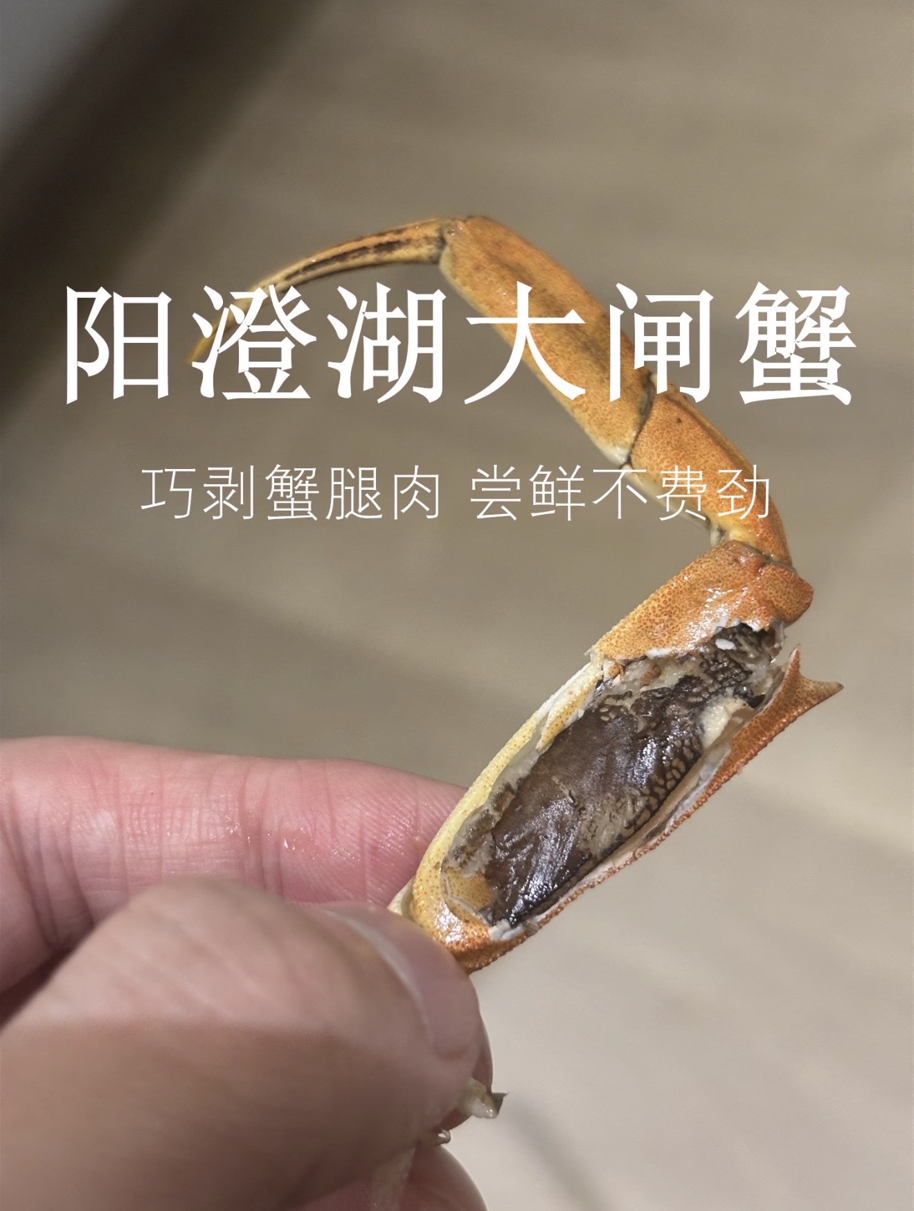阳澄湖防伪扣怎么查验?